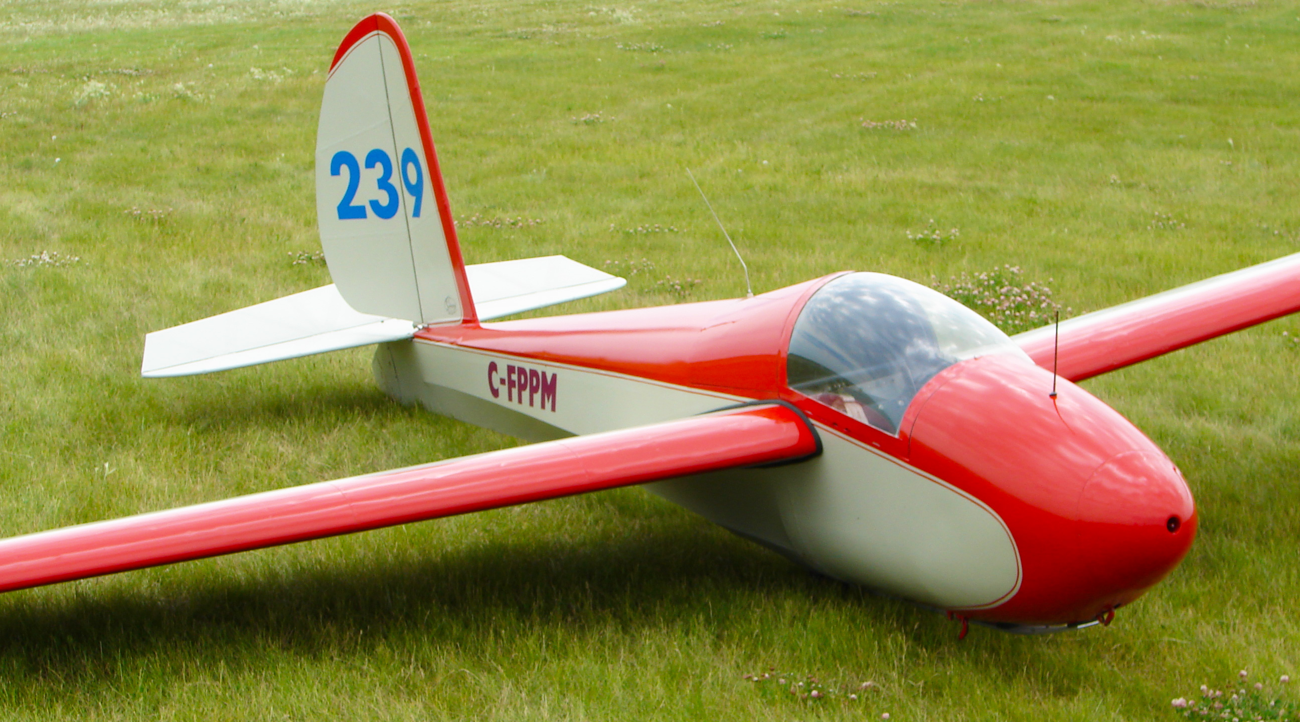 schweizer fixed wing aircraft